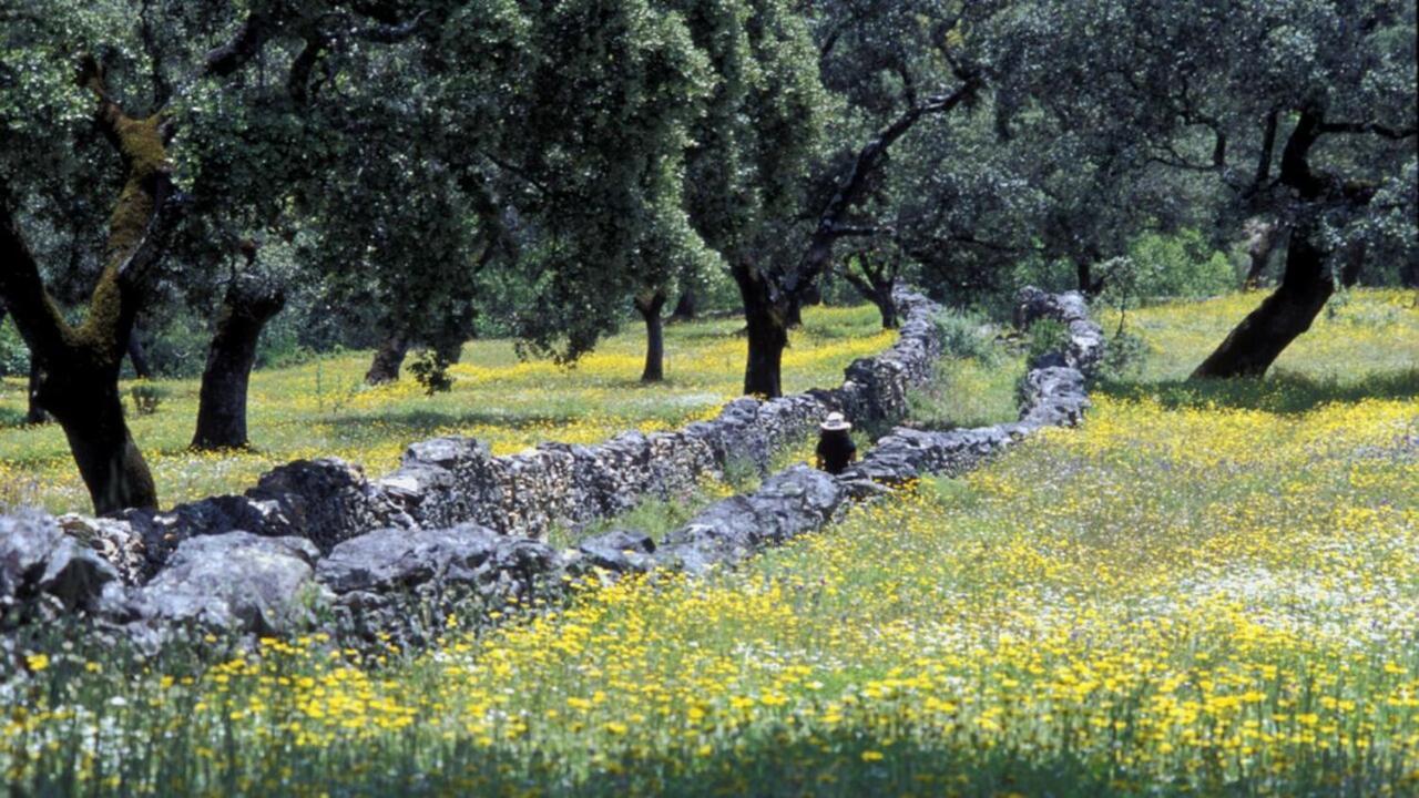 Casa rural Molino Rio